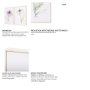 13654 - Echinacea I by Mercana Studio a Hand Embellished Textured Framed Art Print