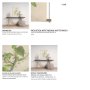 15408 - Botanical Study-Prunus Padus by Mercana Studio a Hand Embelished Textured Framed Art Print