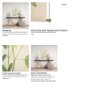 15410 - Botanical Study-Melilotus Officinalis by Mercana Studio a Hand Embelished Textured Framed Art Print