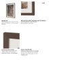 16284 - Ghost Grasses II by Mercana Studio Hand-Embellished Textured Framed Artwork Matted under Glass