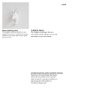 44229 - Dugaleon VII White Ibex Coat Hook