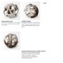 57800 - Ramus I (Small) 5L x 5W Brown Antler Shaped Decorative Resin Orb Ball