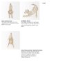67884 - Frankie II 13L x 6W Gold Wire Framed Dog Shaped Decor