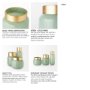 69551 - Minty  9.9L x 9.9W x 9.6H Green Glass Vase W/Matte Gold Metal Neck Cuff