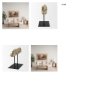 70183 - Dwell Cholla Wood Resin Decorative Object