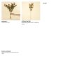 IN1621 - Globe Amaranth Spray