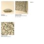 IN9557-C - Rupi 20x20 Block Print Pillow Cover