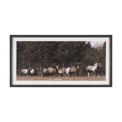 16376 - The Painted Herd by Chad Mackay Textured Framed Photo Print Matted under Glass