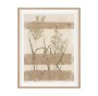 16397 - Interrupted III by Mercana Studio Framed Artwork Matted under Glass