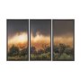 102885-FS - Rebirth by Nathan Larson Textured Framed Canvas Artwork