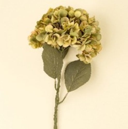IN0364 - Faded Hydrangea Stem L, Green 