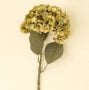 IN0364 - Faded Hydrangea Stem L, Green 
