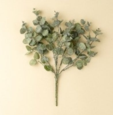 IN0502 - Eucalyptus Spray, Green