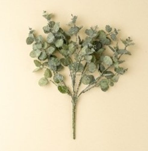 IN0502 - Eucalyptus Spray, Green