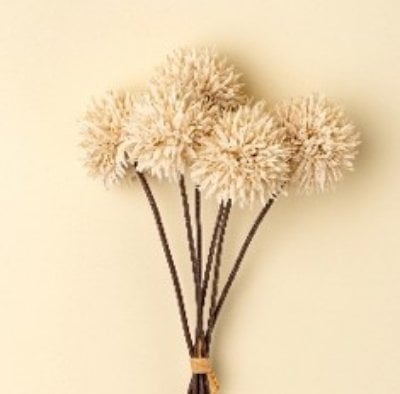 IN9439 - Mini Allium Bouquet, Cream