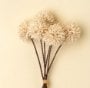 IN9439 - Mini Allium Bouquet, Cream