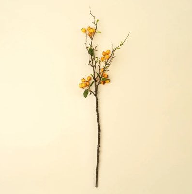 IN9525 - Rosehip Branch- Orange