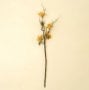IN9525 - Rosehip Branch- Orange