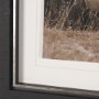 16376 - The Painted Herd by Chad Mackay Textured Framed Photo Print Matted under Glass