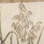 16397 - Interrupted III by Mercana Studio Framed Artwork Matted under Glass