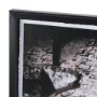 16445 - Requiem by Stevi Michner Textured Framed Photo Print Matted under Glass