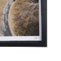 16447 - Reclaimation by Stevi Michner Textured Framed Photo Print Matted under Glass
