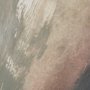 102883-FS - Emerge by Ira Havuka Hand-Embellished Textured Framed Canvas Artwork (Set of 4)