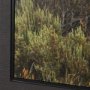 102885-FS - Rebirth by Nathan Larson Textured Framed Canvas Artwork (Set of 3)