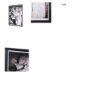 16445 - Requiem by Stevi Michner Textured Framed Photo Print Matted under Glass
